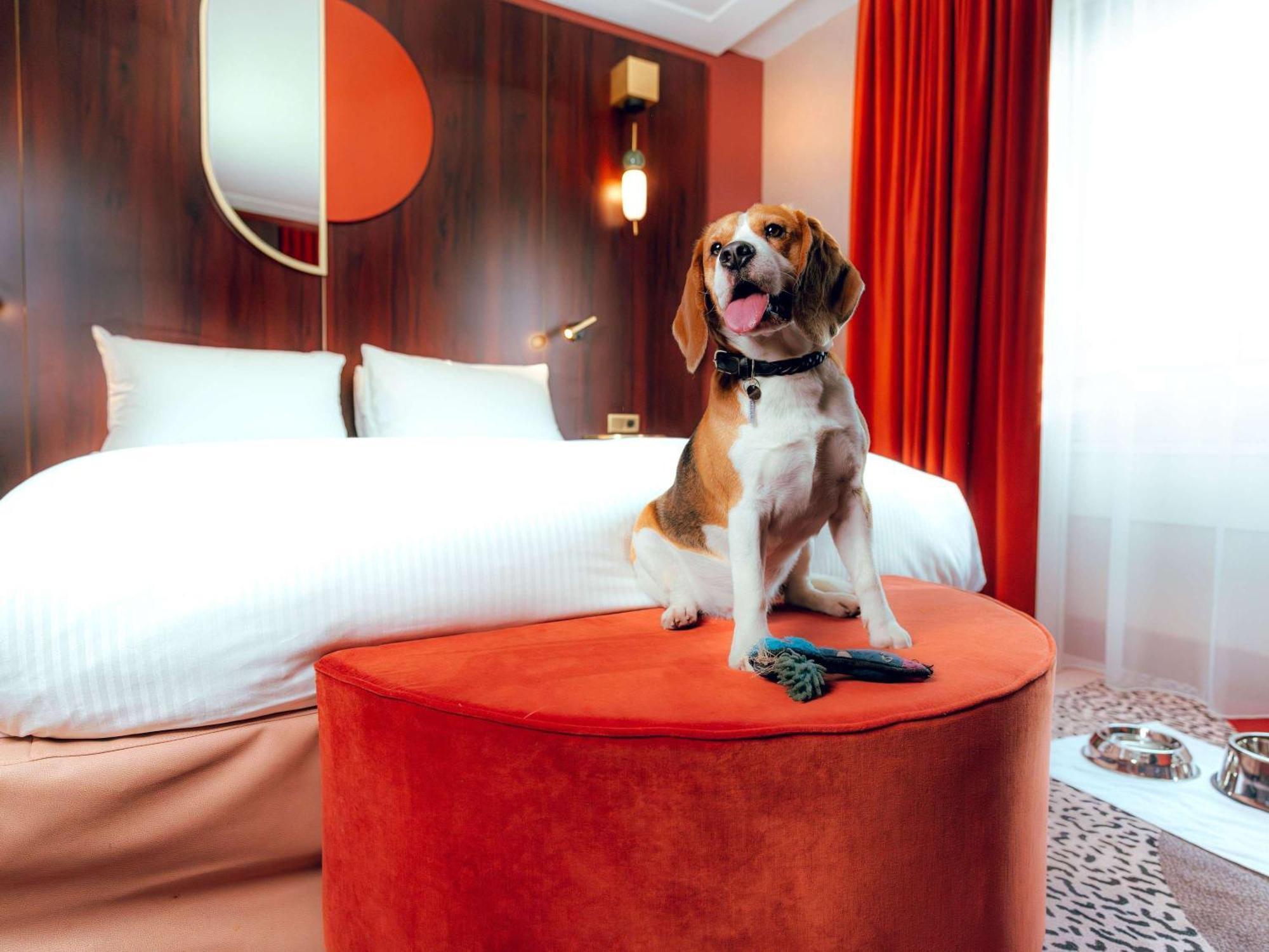 Nest Paris La Defense - Mgallery Puteaux Dış mekan fotoğraf A dog in a hotel room